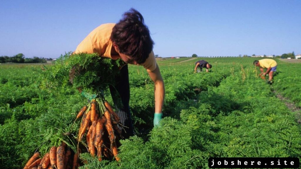 Finding Work on Farms